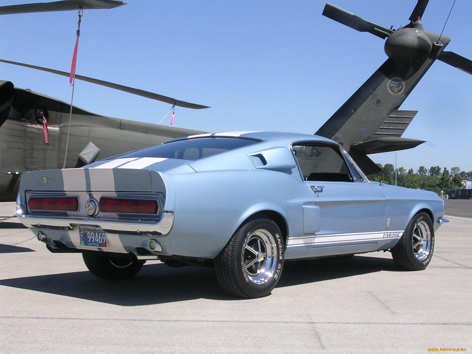 , mustang